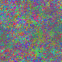 World at epoch 31000