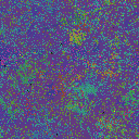 World at epoch 29000