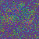 World at epoch 31000