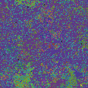 World at epoch 37000