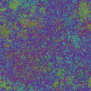 World at epoch 40000