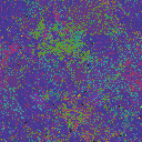 World at epoch 38000