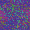 World at epoch 39000