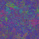 World at epoch 40000