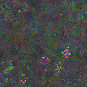 World at epoch 48000