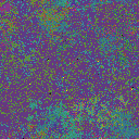 World at epoch 50000