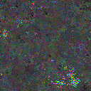 World at epoch 50000