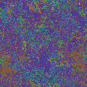 World at epoch 49000