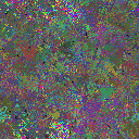 World at epoch 25000