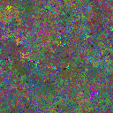 World at epoch 25000