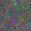 World at epoch 24000