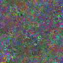 World at epoch 26000