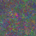 World at epoch 25000