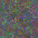 World at epoch 25000