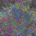 World at epoch 37000