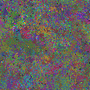 World at epoch 40000