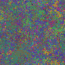 World at epoch 31000