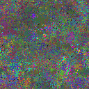 World at epoch 24000