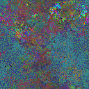 World at epoch 35000