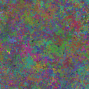 World at epoch 50000