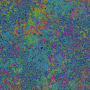 World at epoch 38000