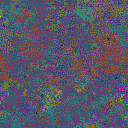 World at epoch 41000
