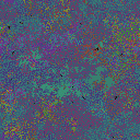 World at epoch 44000