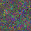 World at epoch 41000