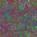 World at epoch 40000