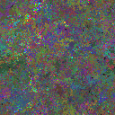 World at epoch 31000