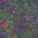 World at epoch 51000