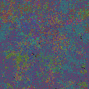 World at epoch 50000