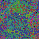 World at epoch 49000