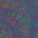 World at epoch 51000