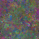 World at epoch 31000