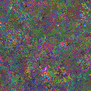 World at epoch 35000