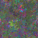 World at epoch 35000