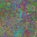 World at epoch 31000