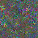 World at epoch 48000