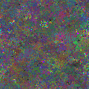 World at epoch 52000