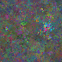 World at epoch 45000