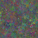World at epoch 46000