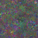 World at epoch 49000