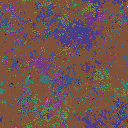 World at epoch 48000