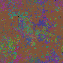 World at epoch 49000
