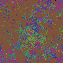 World at epoch 50000