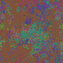 World at epoch 51000