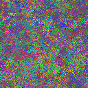 World at epoch 24000