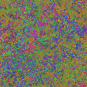 World at epoch 25000