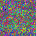 World at epoch 25000